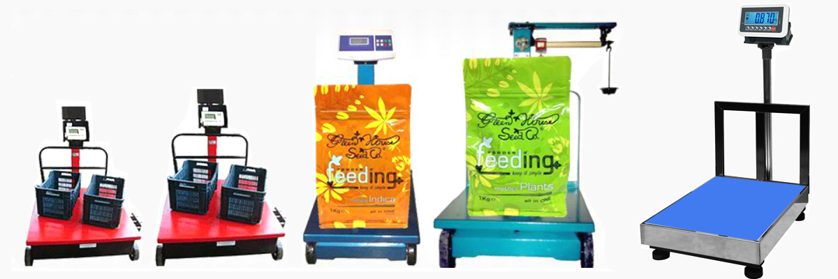 BALANZAS ELECTRONICAS