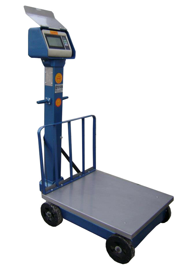 bascula electronicas